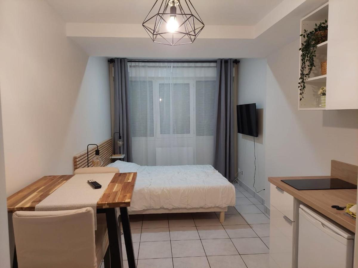 Apt Lyon Flachet Villeurbanne Dış mekan fotoğraf