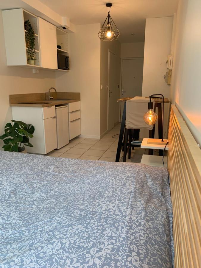 Apt Lyon Flachet Villeurbanne Dış mekan fotoğraf
